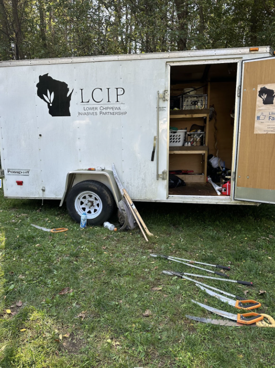 Students Help Community Members Clear Invasive Species From Campus