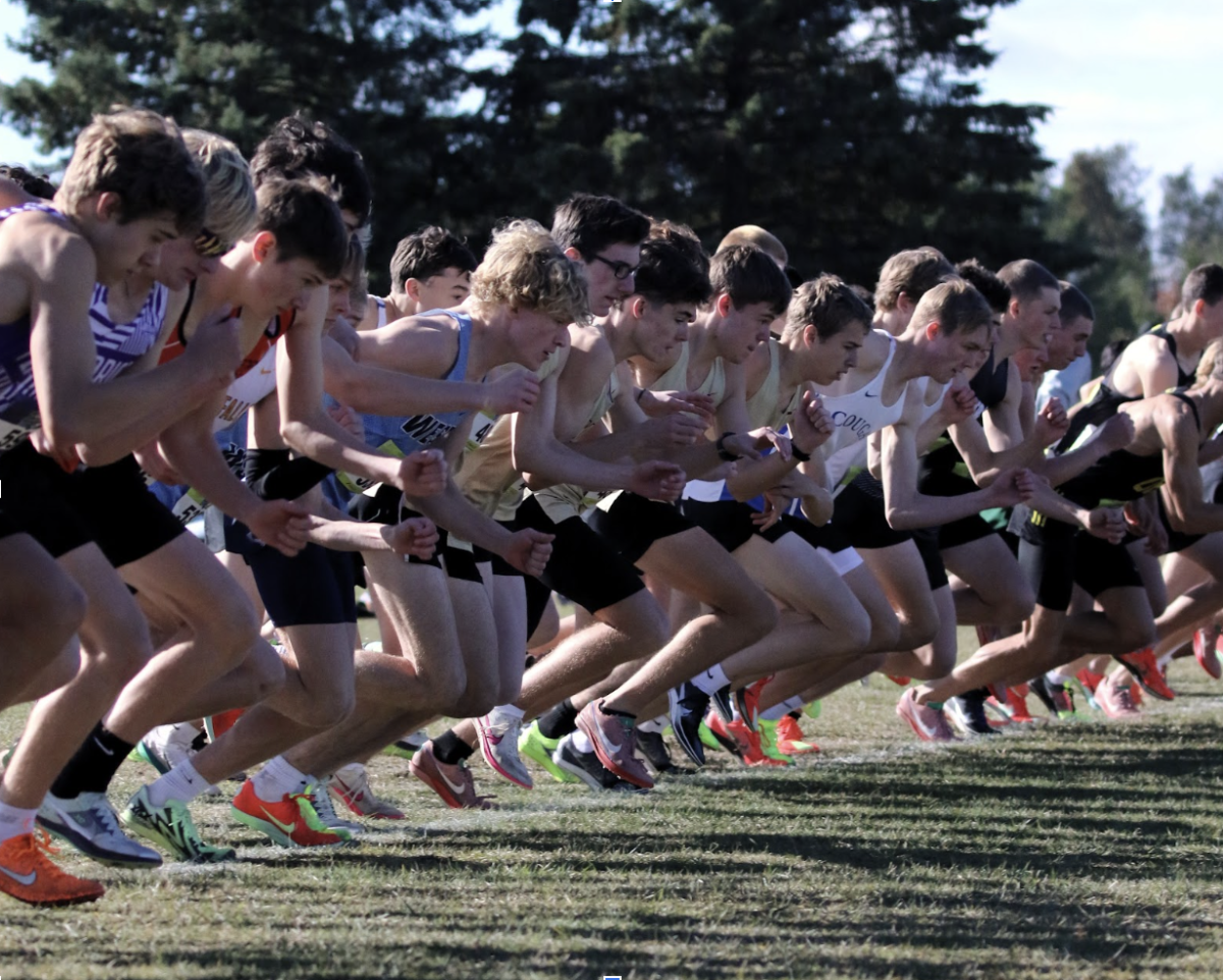 Boys XC State Run